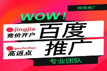 百度竞价代运营的长期效益与价值探讨